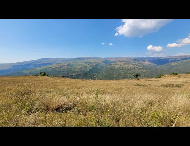 227HA FARM FOR SALE IN NELSPRUIT RURAL